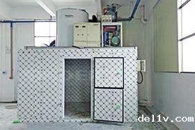 韶关食品加工 2台日产10吨片冰机