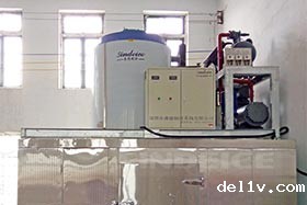 南宁食品加工 日产10吨片冰机